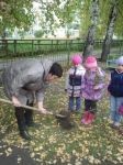 Садим деревья для малышей
